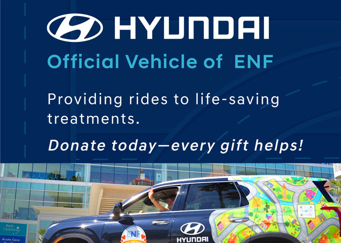 Hyundai Fuel the Fleet